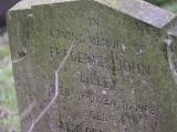 image of grave number 795345